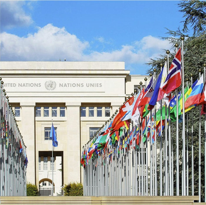 193 Member U.N. Outdoor Flag Set