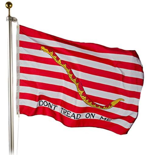 Philadelphia Light Horse Flag